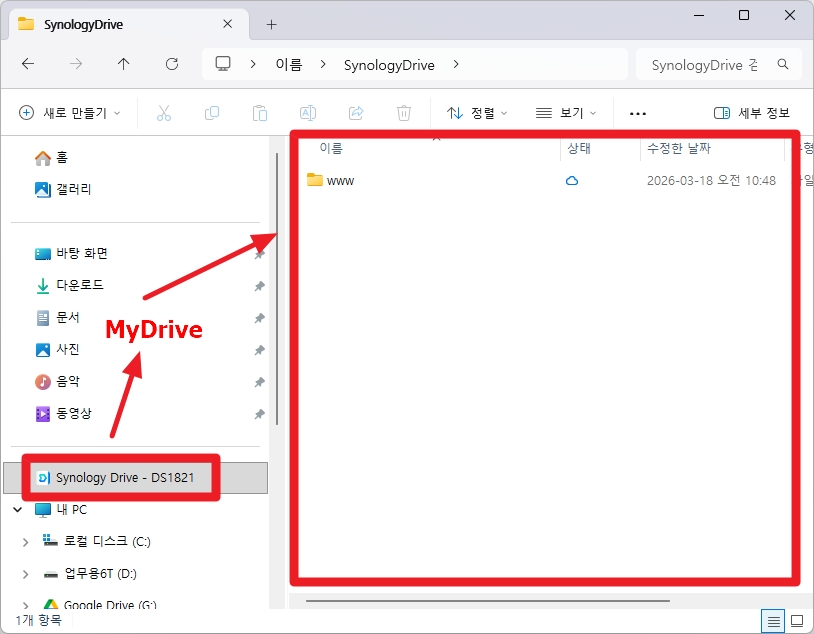 Windows 탐색기의 Synology Drive 및 www 폴더